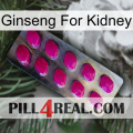 Ginseng For Kidney 09